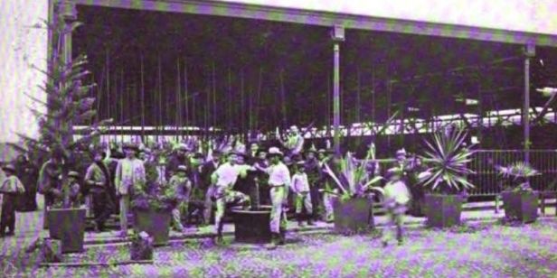 Rinaldo Nardini (1853-1907)